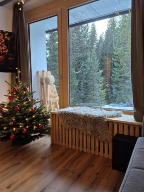 New cosy apartment with sauna, smučišče Krvavec